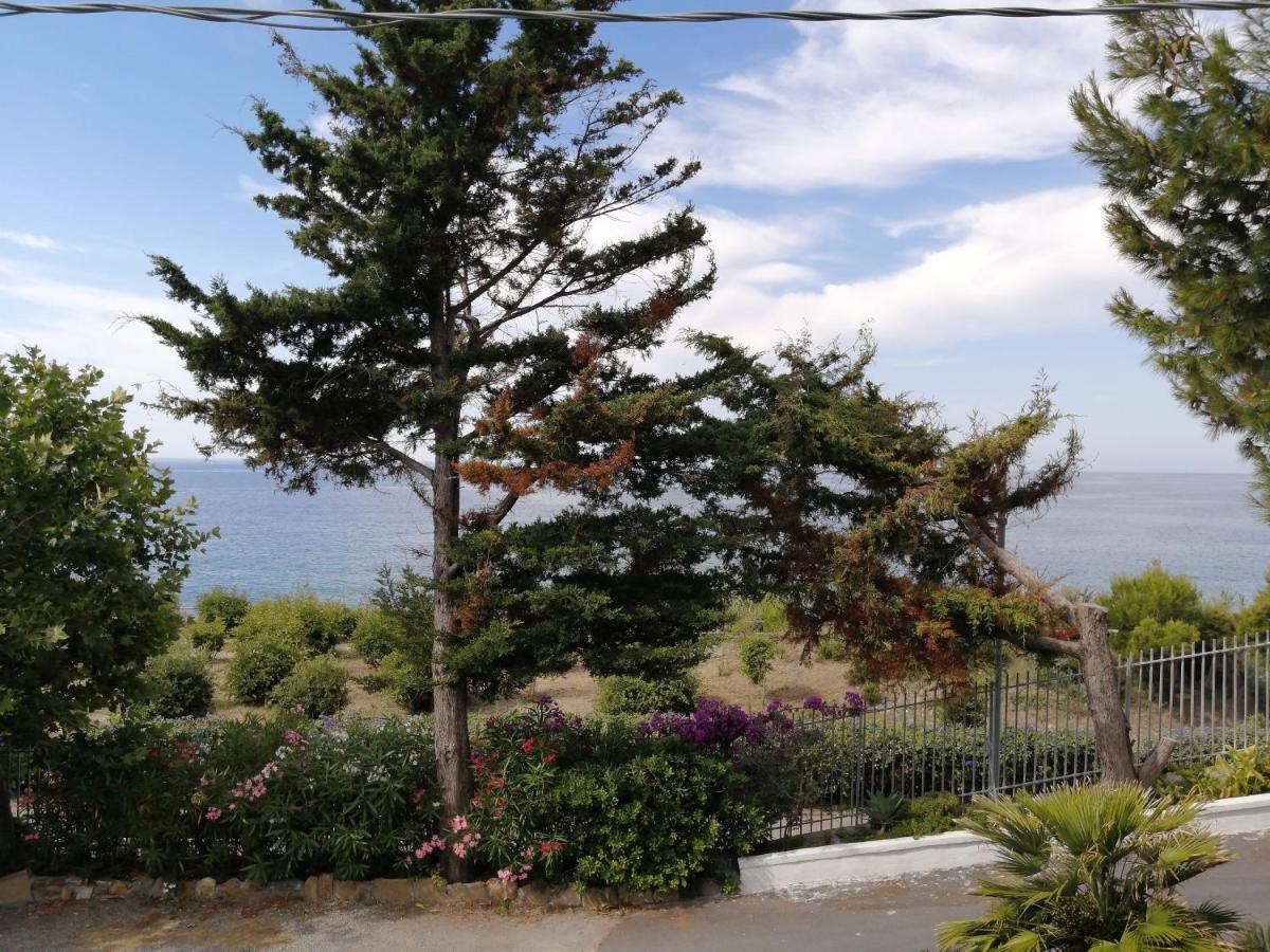 Villaggio Turistico La Vesca Санремо Экстерьер фото